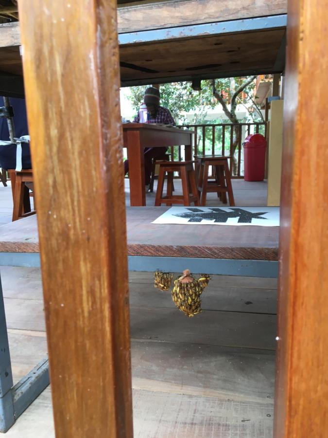 Indano Art Lodge Lamas 外观 照片